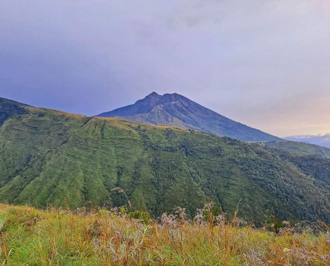 Dira Bungalows Tetebatu Dış mekan fotoğraf